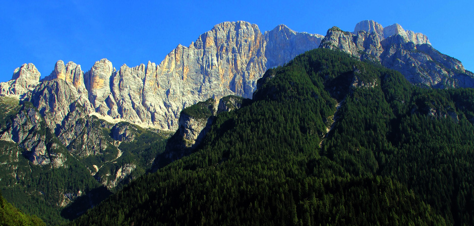 Foto Presentazione